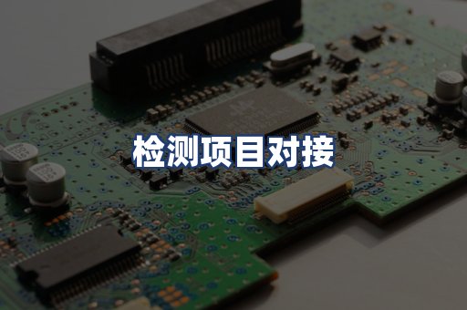 检测项目对接